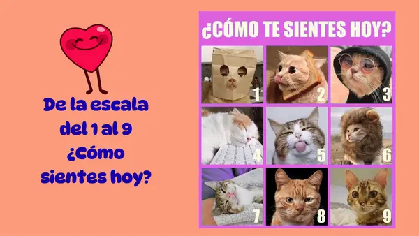 Presentación clase de ciencias "los músculos y los huesos" 2°año 