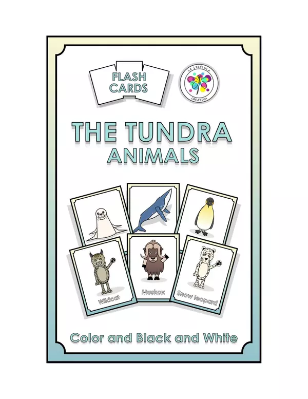Flash Cards The Tundra Artic Antartic Animals Cut Color BW