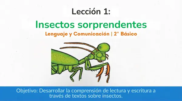 Lección 1 "Insectos sorprendentes" 2° basico - Leo Primero