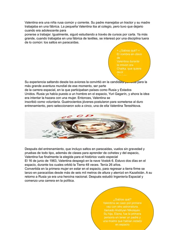 Resumen prueba original simce 2024
