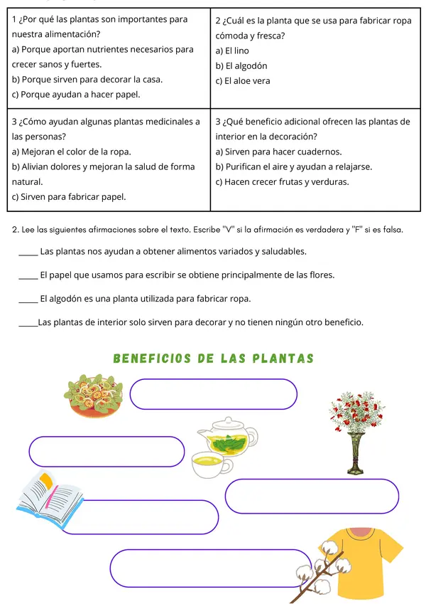 Beneficios de las Plantas | Ciencias Naturales