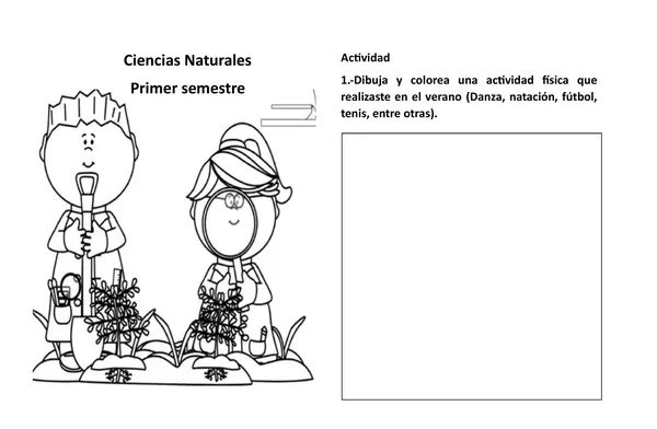 Mis organos y los cinco sentidos