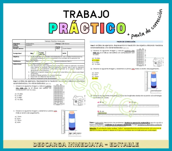 Trabajo práctico evaluado c/ pauta de corrección - Unidad de Medición. Matemáticas 4º Básico OA 22.