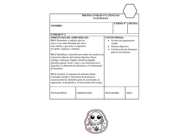 Prueba de ciencias naturales, organización celular, sistema digestivo, alimentación.