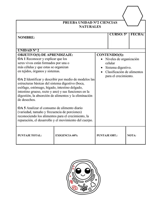Prueba de ciencias naturales, organización celular, sistema digestivo, alimentación.