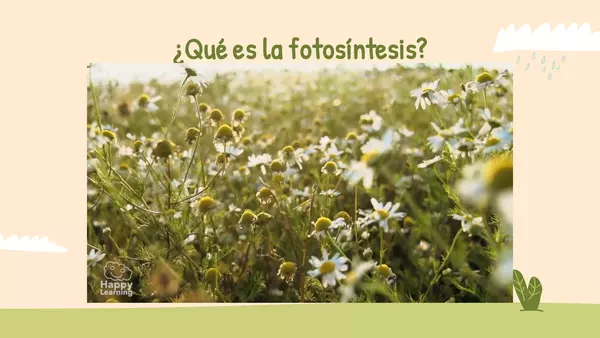 La fotosíntesis 4to y 5to básico