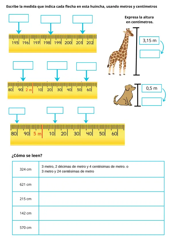 Unidades de Medida de Longitud , Matemática