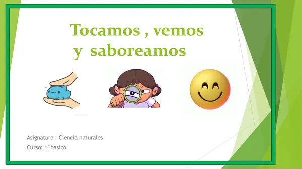 Clase de ciencia LOS SENTIDOS