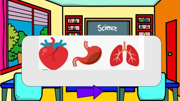 PPT órganos corazón pulmones y estómago.