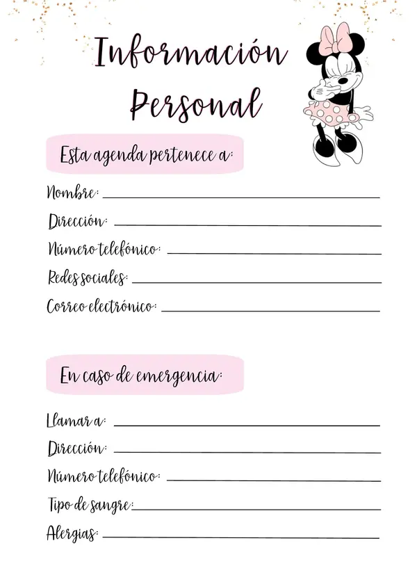 planner minnie