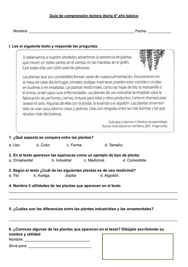 Guía de comprensión lectora diaria 4° año básico "Las plantas y su utilidad"