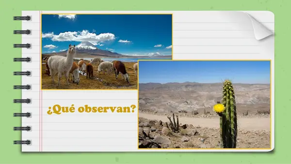 Zona norte de Chile