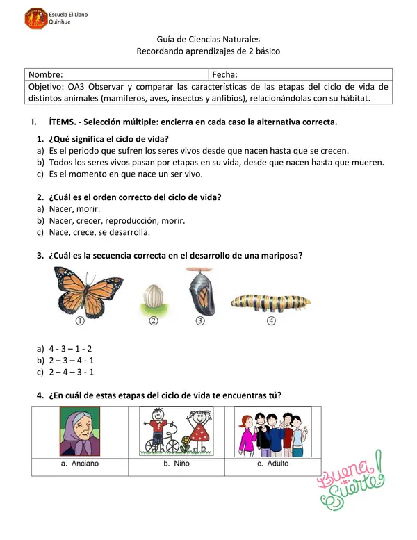 Guia El ciclo de la vida, 2° básico. 