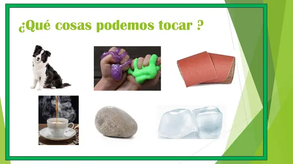 Clase de ciencia LOS SENTIDOS