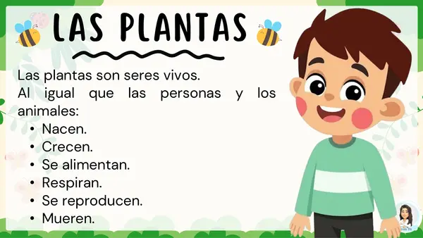 Las plantas y sus tipos