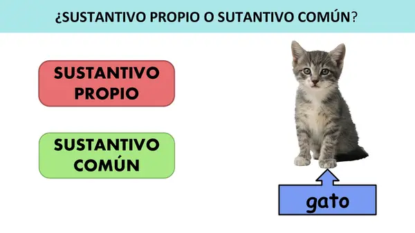 JUEGO SUSTANTIVOS PROPIOS Y COMUNES