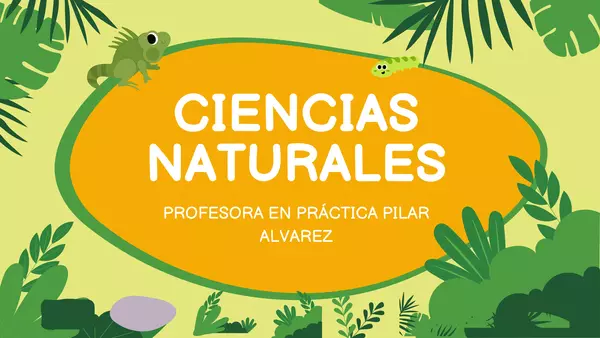 Flora y Fauna de Chile 1°Básico
