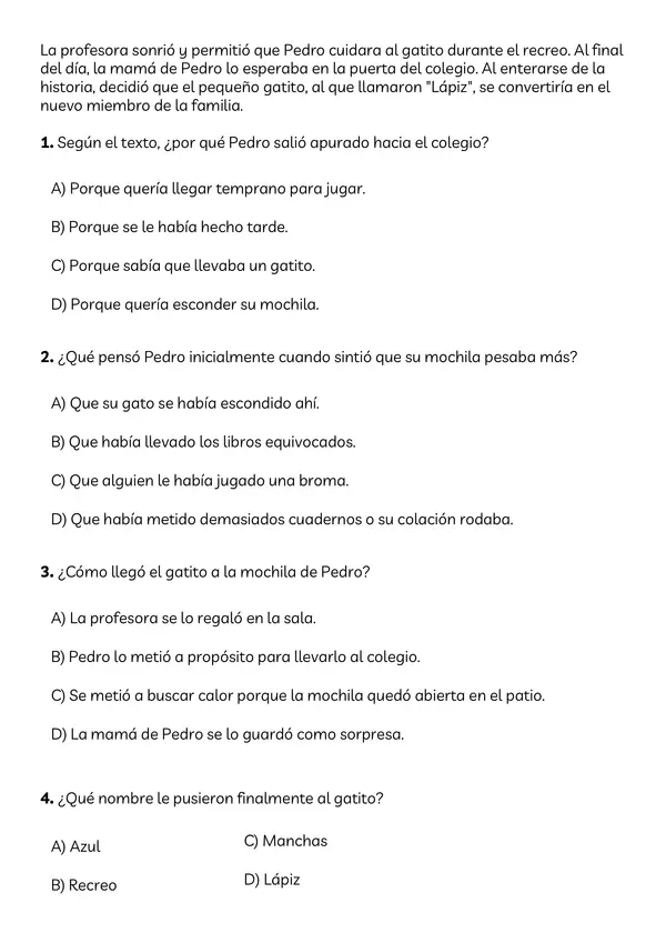 Ensayo SIMCE Lectura cuarto básico