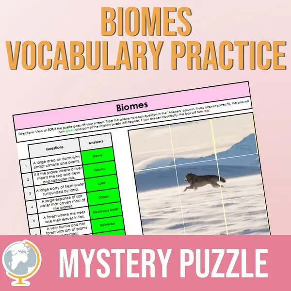 Biomes Mystery Puzzle