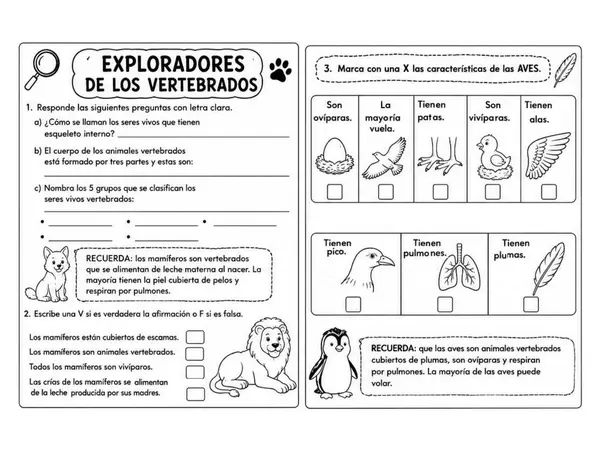 Actividades animales vertebrados 