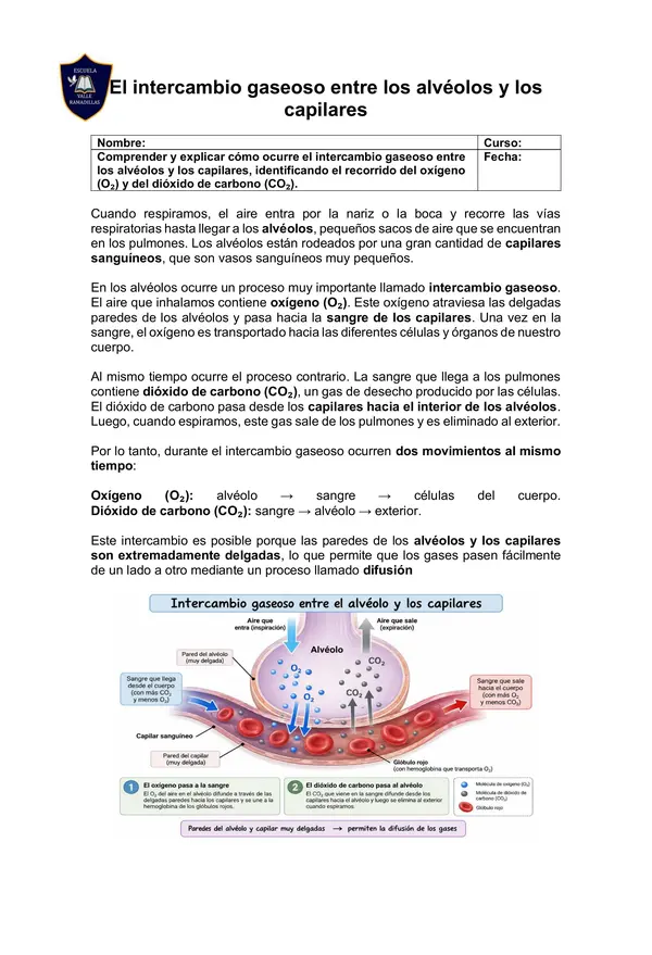 intercambio gaeoso