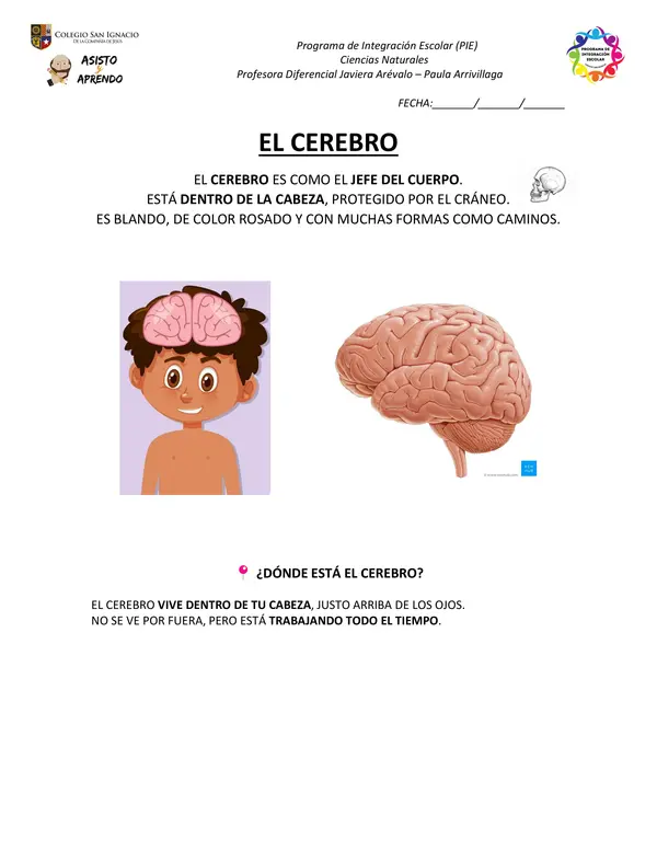 Cuadernillo de actividades: Sistema Nervioso NEEP 