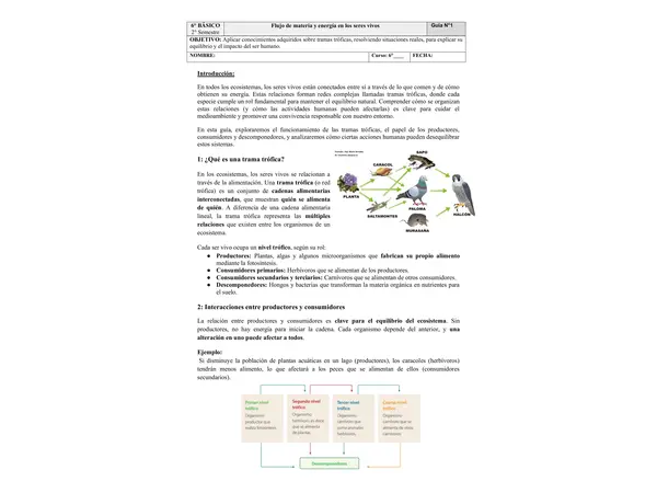 Flujo de materia y energía en los seres vivos