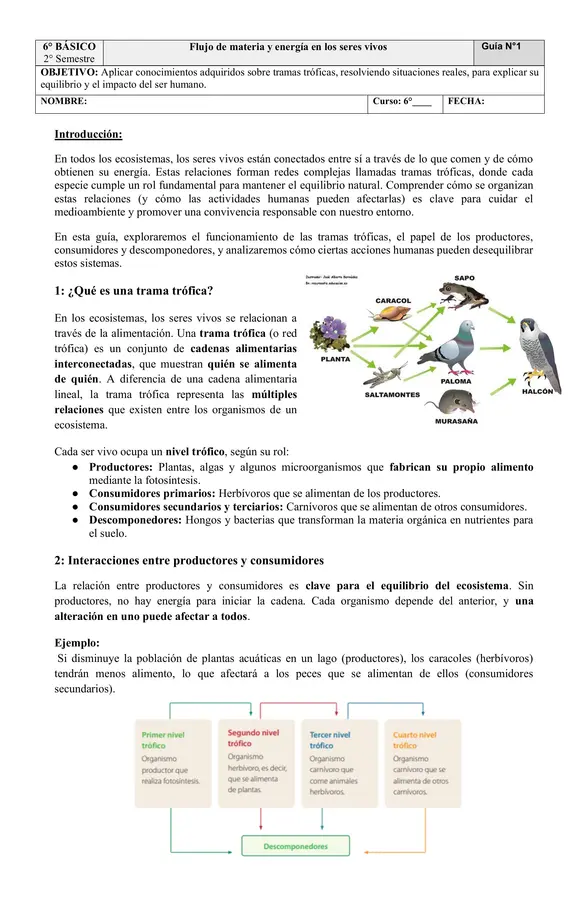 Flujo de materia y energía en los seres vivos