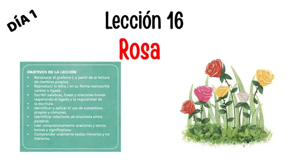 Lección 16 Rosa Parte 2 Mayúsculas Método Matte