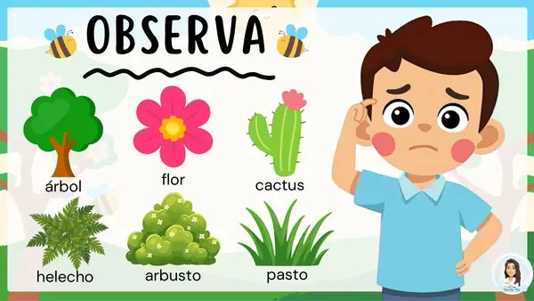 Las plantas y sus tipos