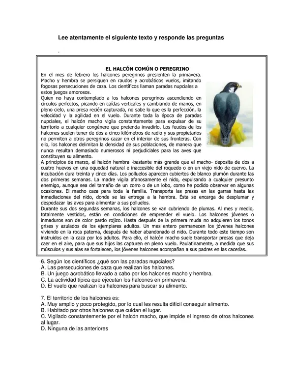Simce 6 .8 básico
