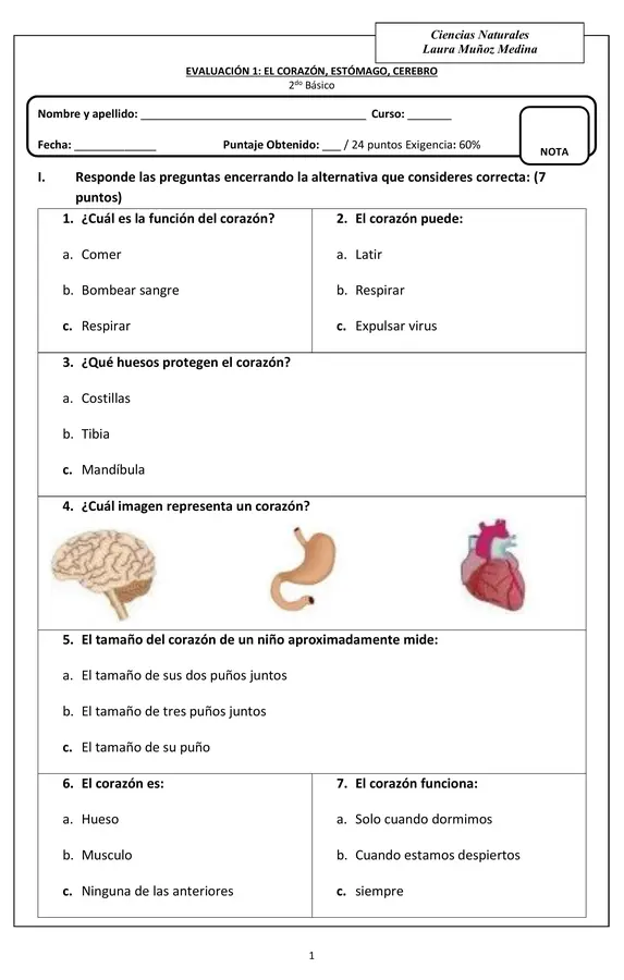 Evaluación Ciencias (estómago, cerebro, corazón)