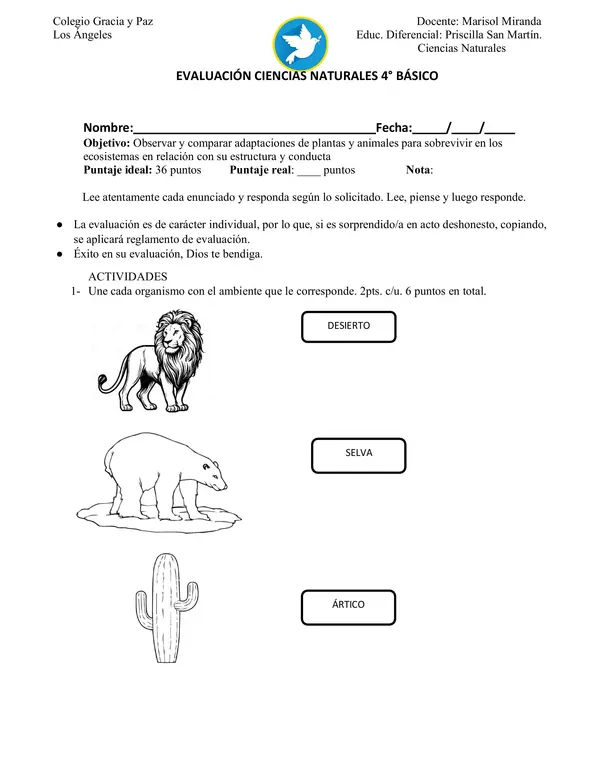 Evaluación de contenidos ciencias naturales