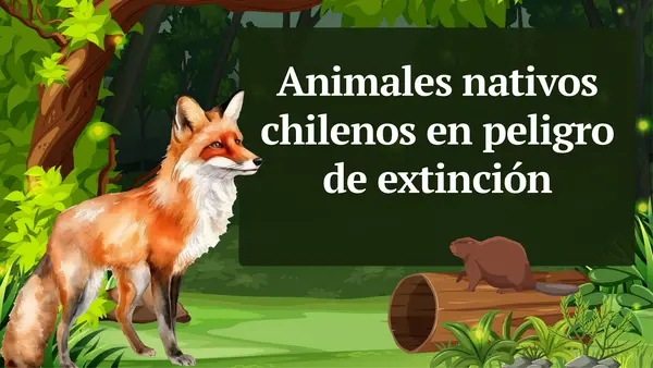 Animales nativos chilenos en peligro de extinción