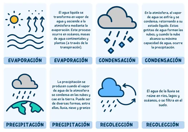 Tarjetas de aprendizaje sobre el Ciclo del agua
