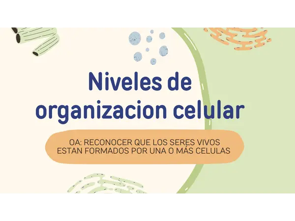 NIVELES DE ORGANIZACIÓN CELULAR