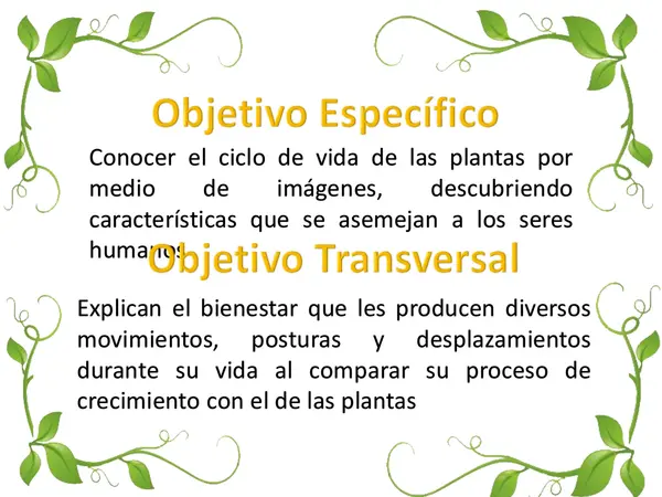 Ciclo de vida de las plantas