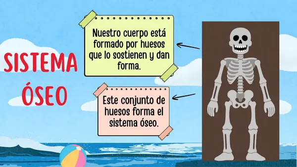 Sistema óseo y muscular