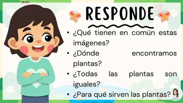 Las plantas y sus tipos