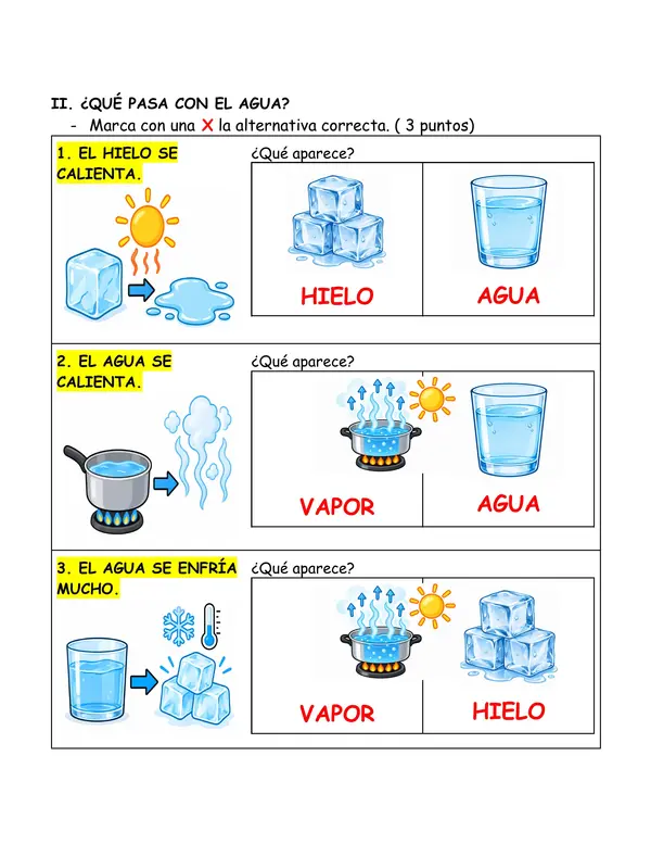 Evaluación Adecuada Ciencias Naturales 2° Básico | Estados y Ciclo del Agua