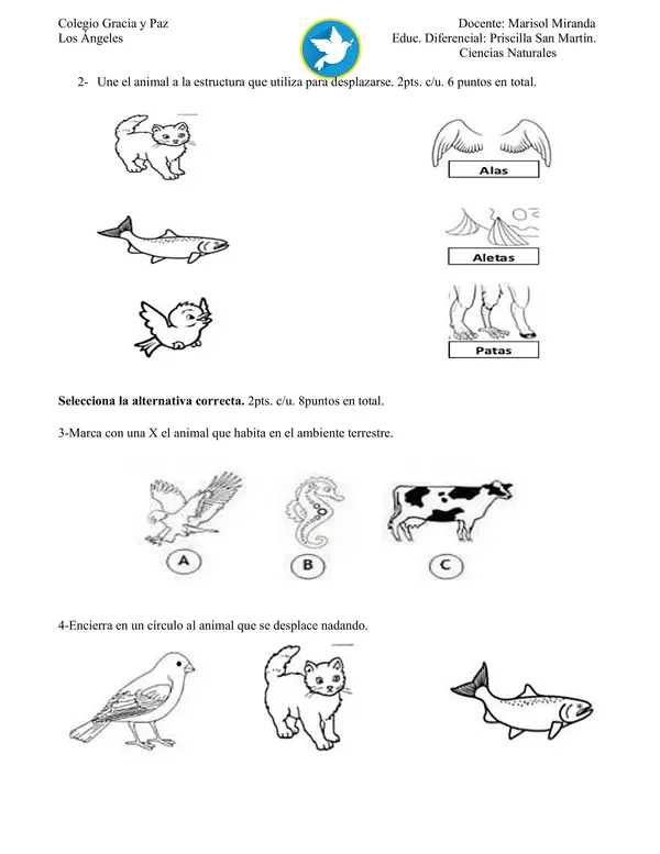 Evaluación de contenidos ciencias naturales