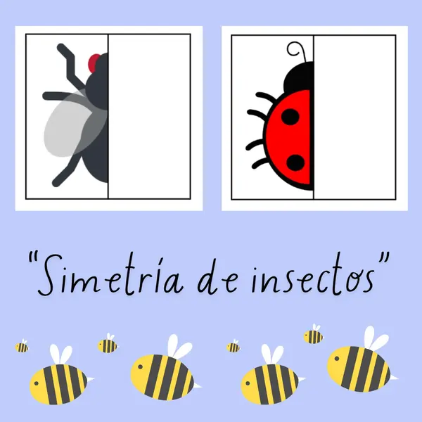 Simetría de insectos