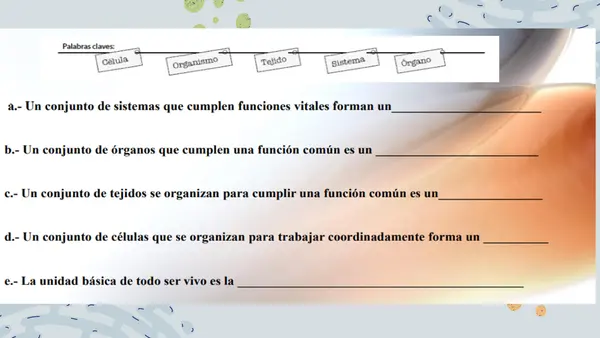 NIVELES DE ORGANIZACIÓN CELULAR