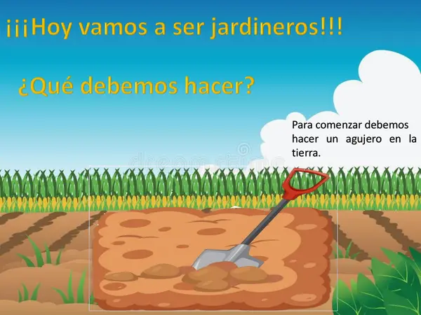 Ciclo de vida de las plantas