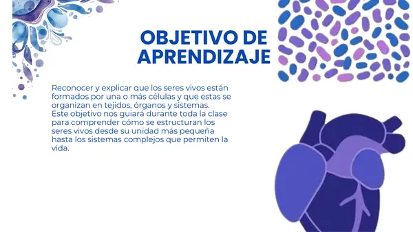 Células y organización de los seres vivos 🧬