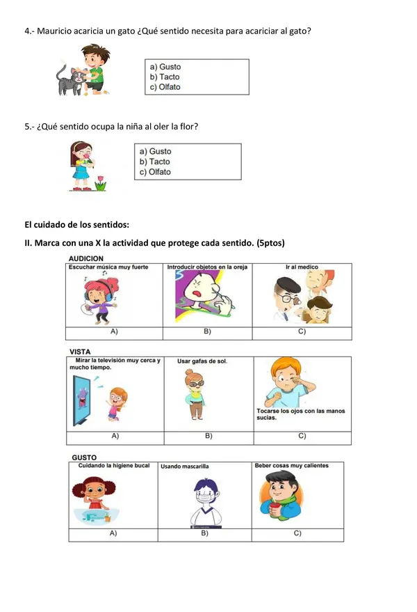 Evaluación los sentidos