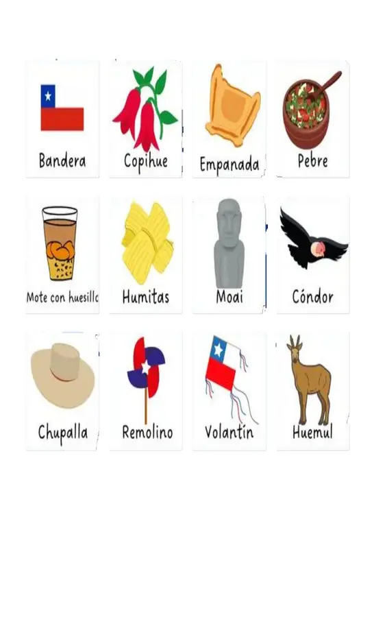 Memorice chileno