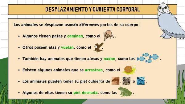 1° básico - Los animales 
