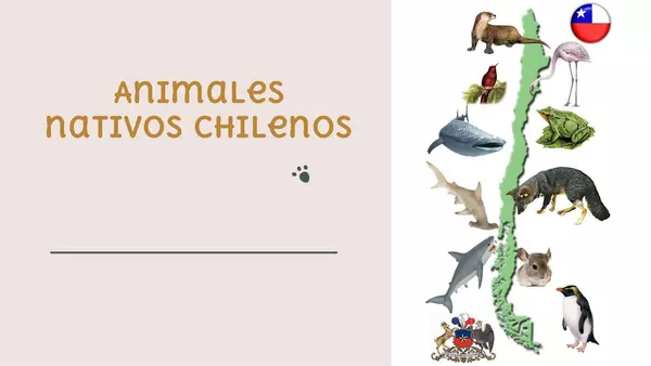 Animales chilenos
