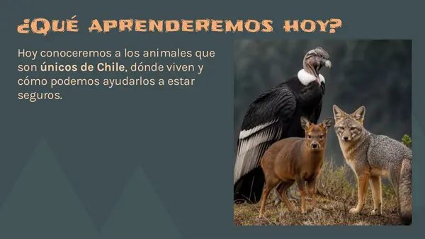 Especies Nativas Complementar clases de la Lección 3 Unidad 2
